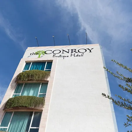 The Conroy Boutique Hotel-3
